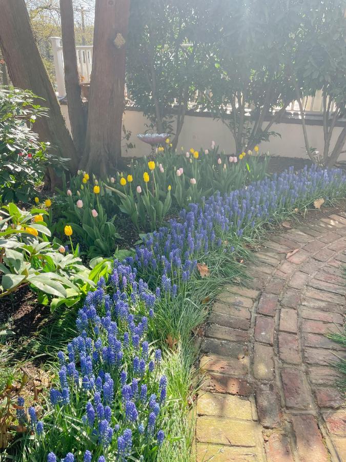 The Harbor Rose Bed & Breakfast Cold Spring Harbor Exterior photo